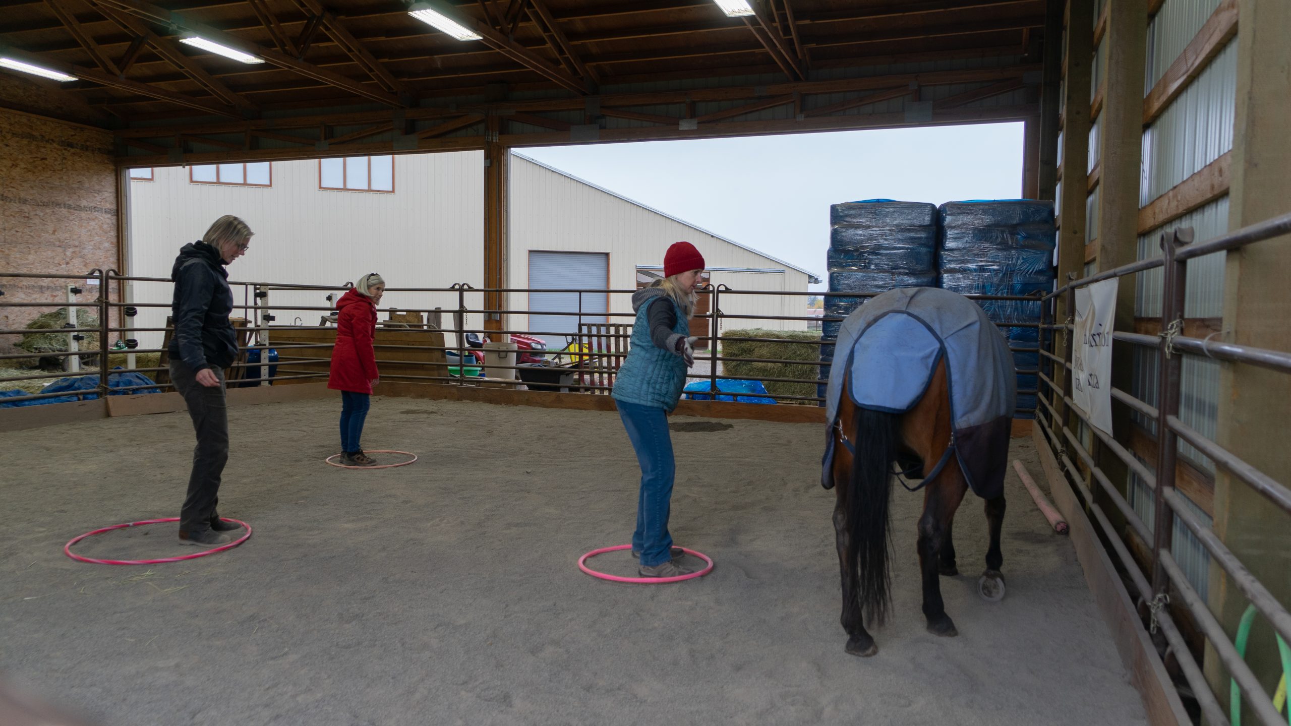 A therapist and equine specialist at Forward Stride's Equine Assisted Psychotherapy program walk together with a client and a bay horse in a therapy session.
