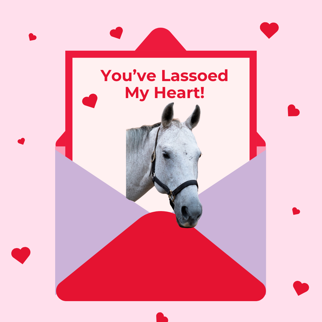 Hearts for Horses campaign featuring Ellie