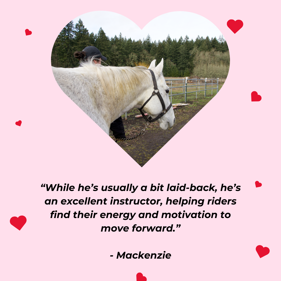 Hearts for Horses campaign featuring Ellie and Libby