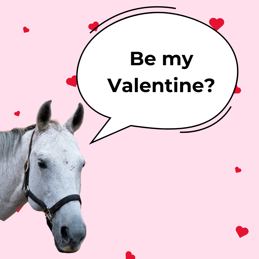 Hearts for Horses campaign featuring Ellie