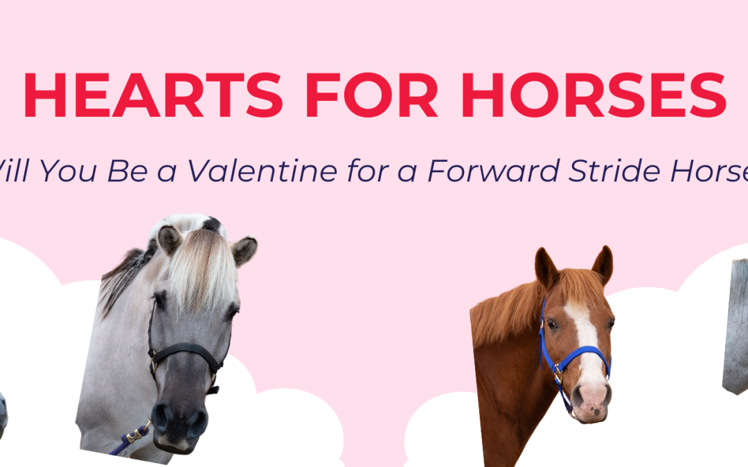Hearts for Horses: Sterling
