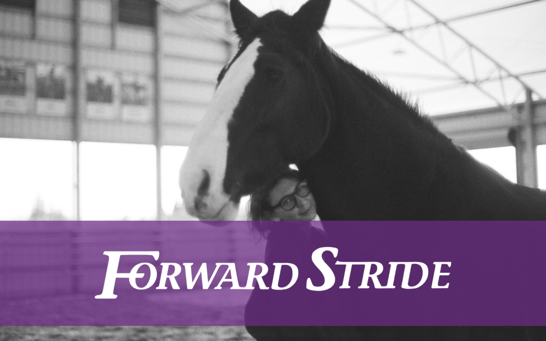 Group and Individual Therapy Offerings in Equine Assisted Psychotherapy