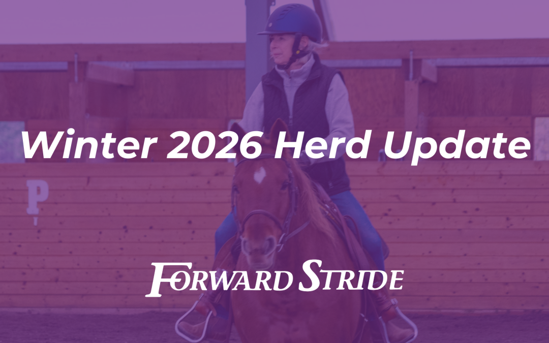 Winter 2026 Herd Update