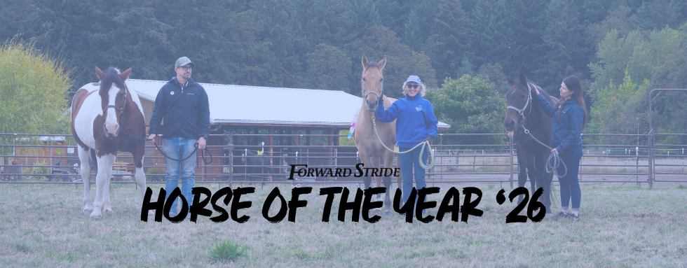 2026 Horse of the Year